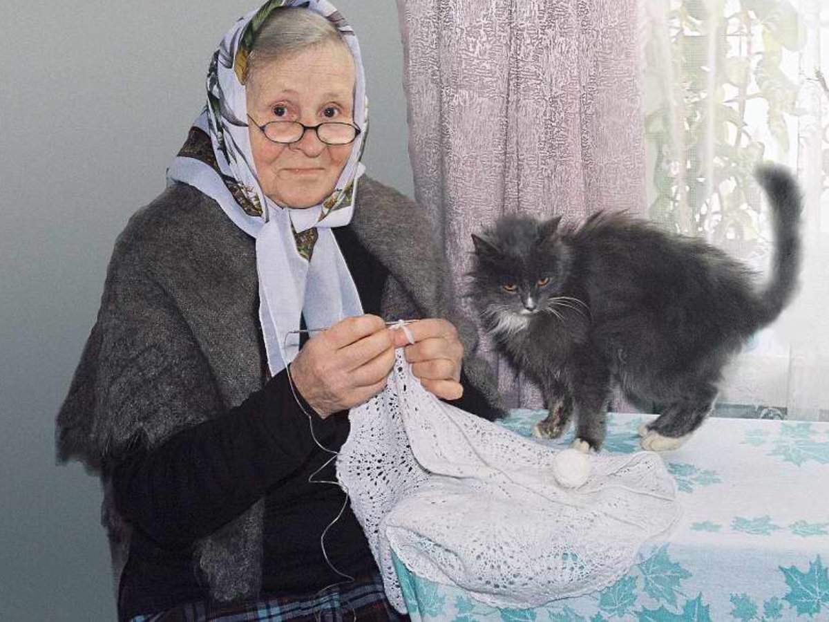 Фото: Яндекс