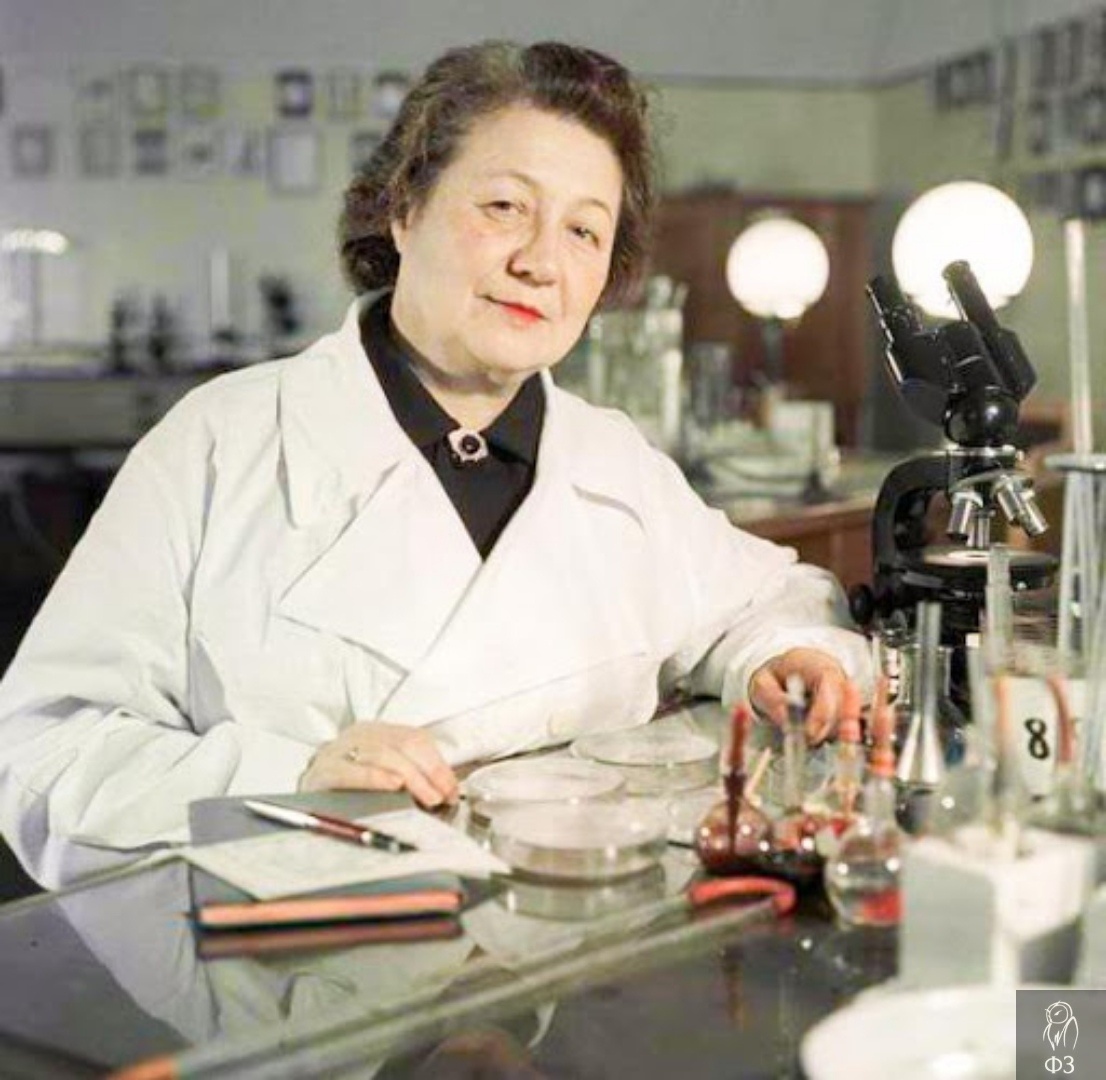 Зинаида Ермольева