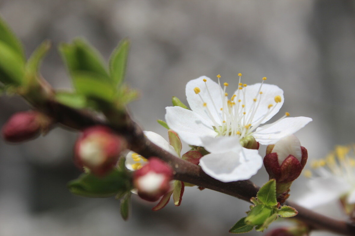 Ставьте лайк и подписывайтесь на мой канал)