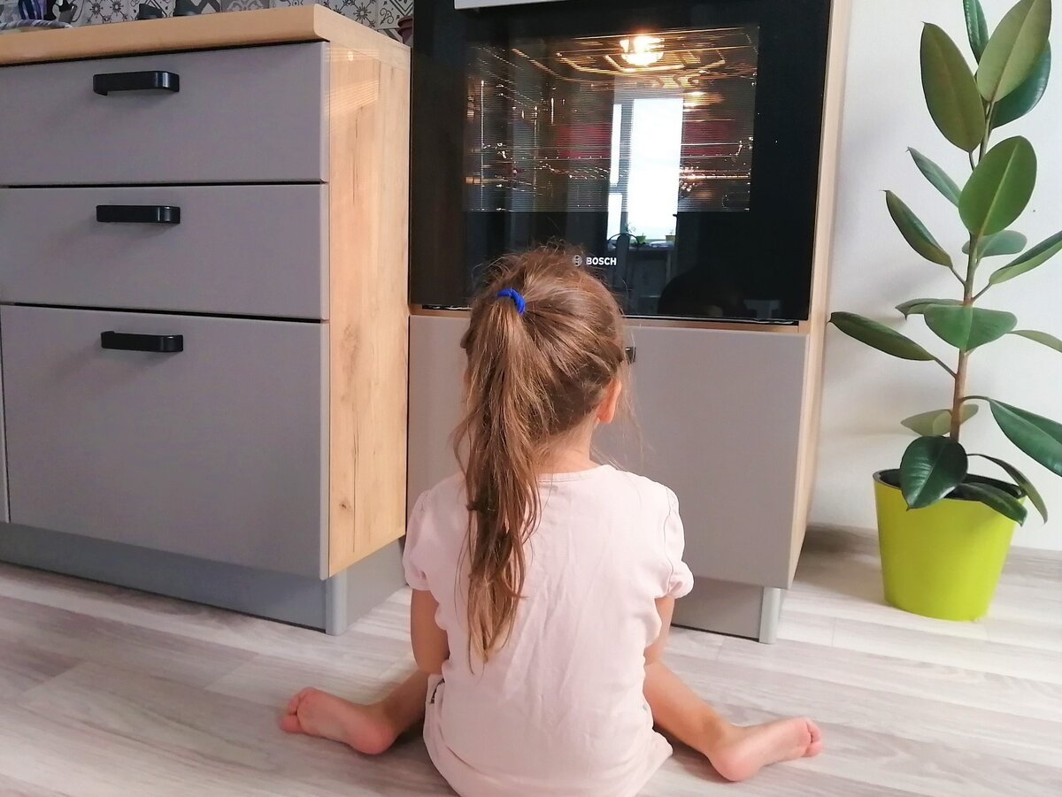 Тот самый фикус в старом горшке