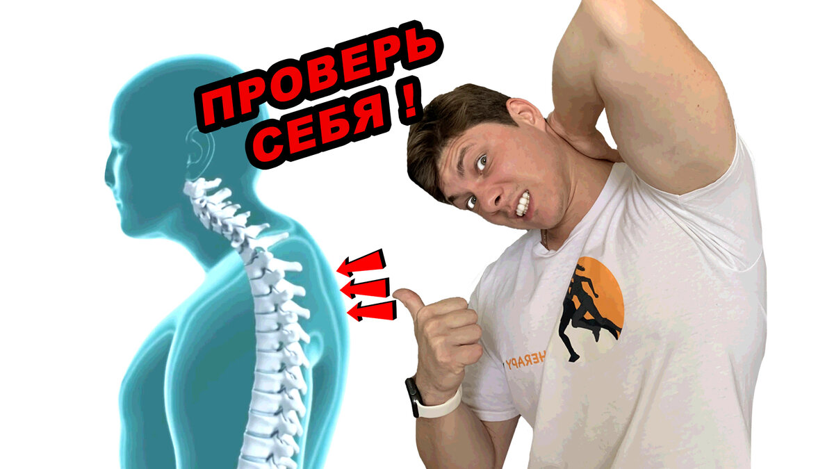 Автор - Пенкин Егор/Fit.Therapy.Official