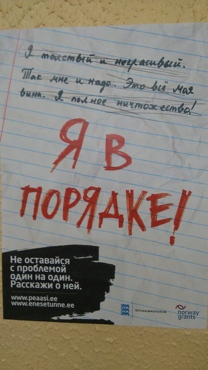 Довелось побывать по обмену опытом в школах Эстонии. Делюсь впечатлениями |  Феникс: записки учителя | Дзен