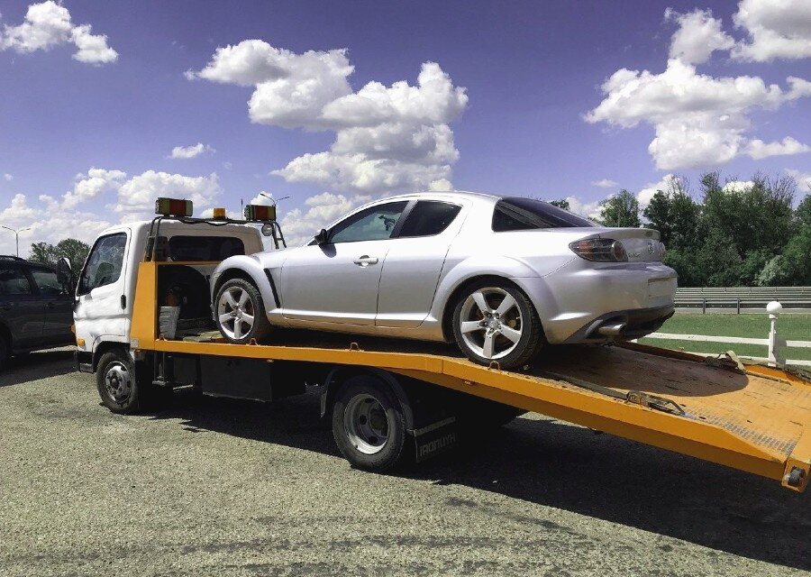 Фото: Источник Яндекс.Картинки