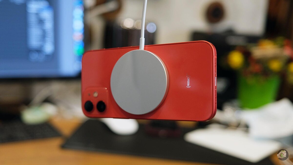 iPhone 12 mini на MagSafe. Фото: Илья Кичаев / Wylsacom Media
