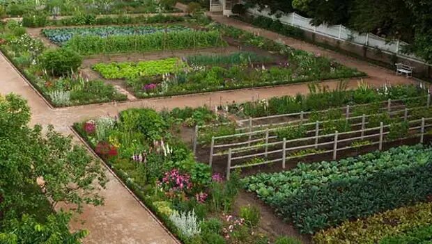 Красивый огород своими руками – 22 идеи по обустройству грядок | Вдохновение (эталон62.рф)