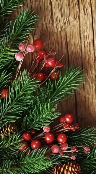 Фото из интернета 