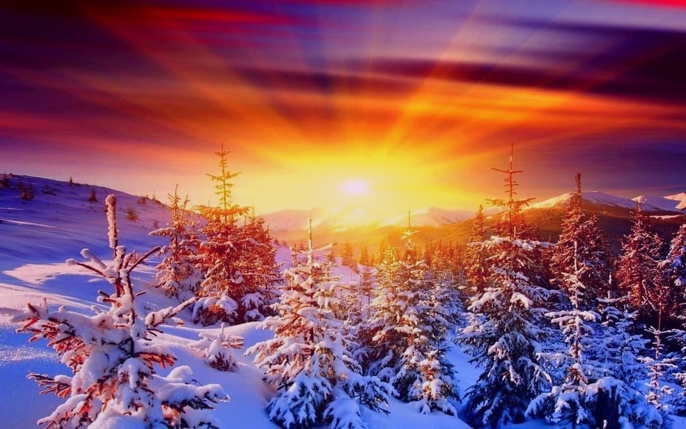 В этот день самая длинная ночь)