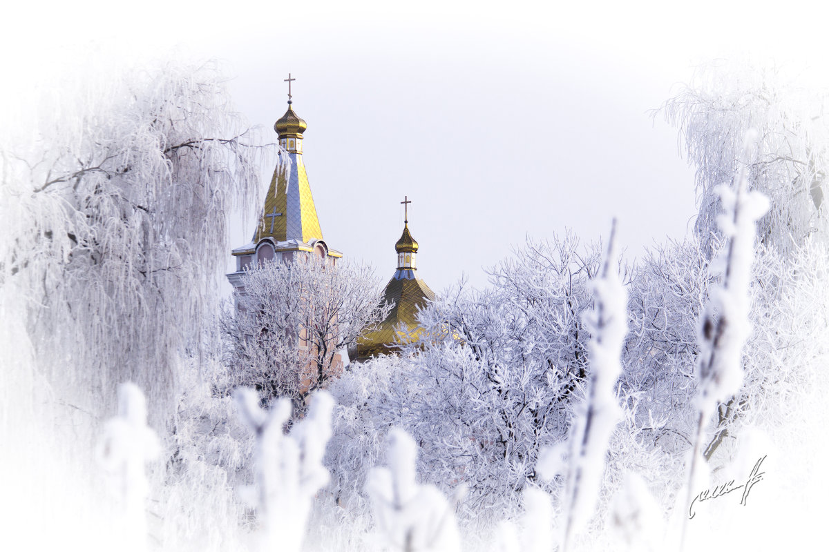Церковь зима. Церковь зимой на прозрачном фоне. Церковь на фоне зимы.