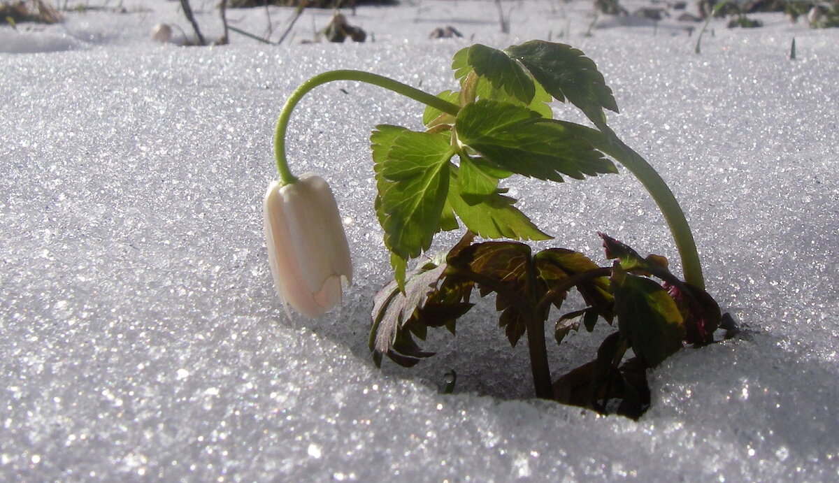 фото Ларисы Полуэктовой
