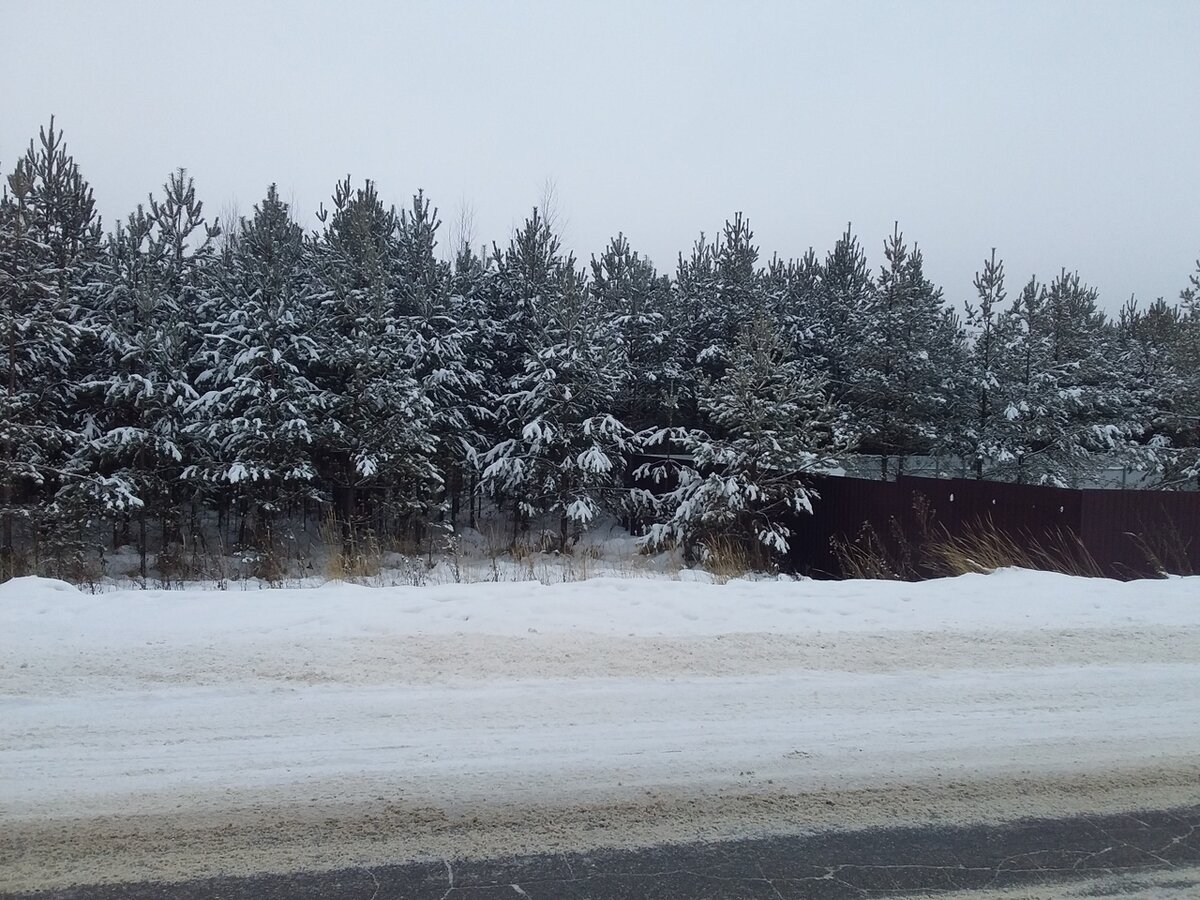 Дорога на д. Инютино