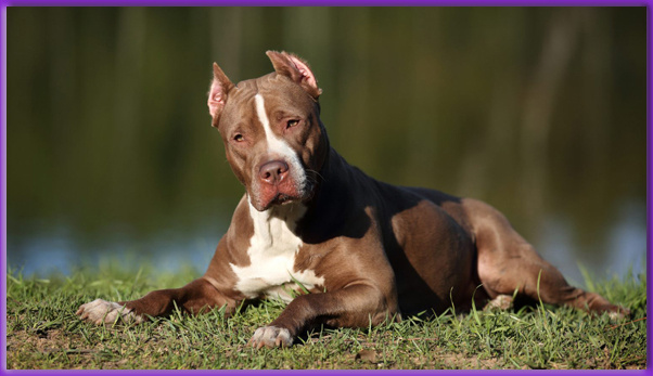 Я не расслышал, что ты сказал...подойди поближе