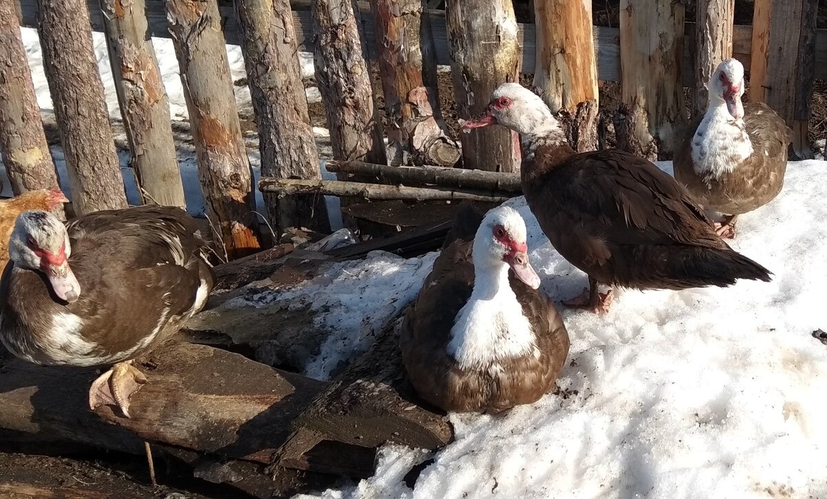 фотография из личного архива.