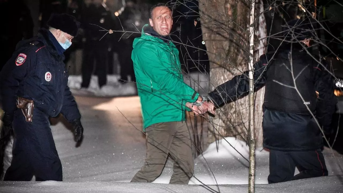 Фото взято из открытого доступа в интернете.