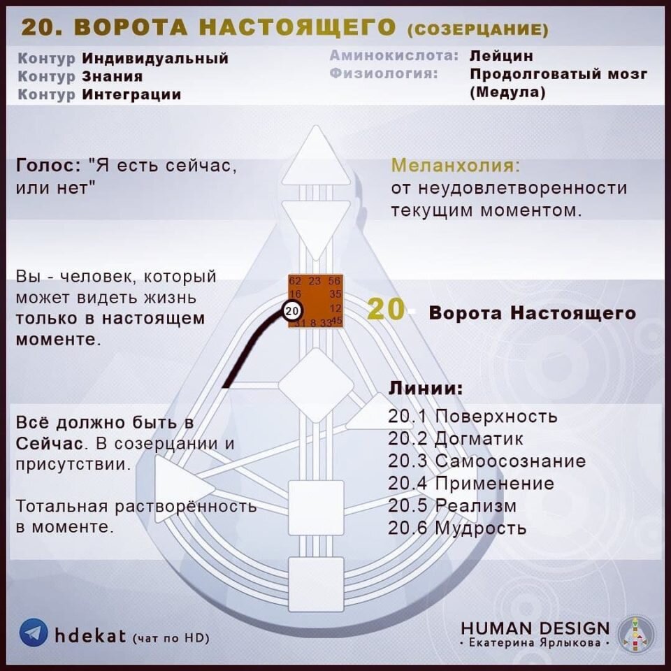 Дизайн человека карта онлайн