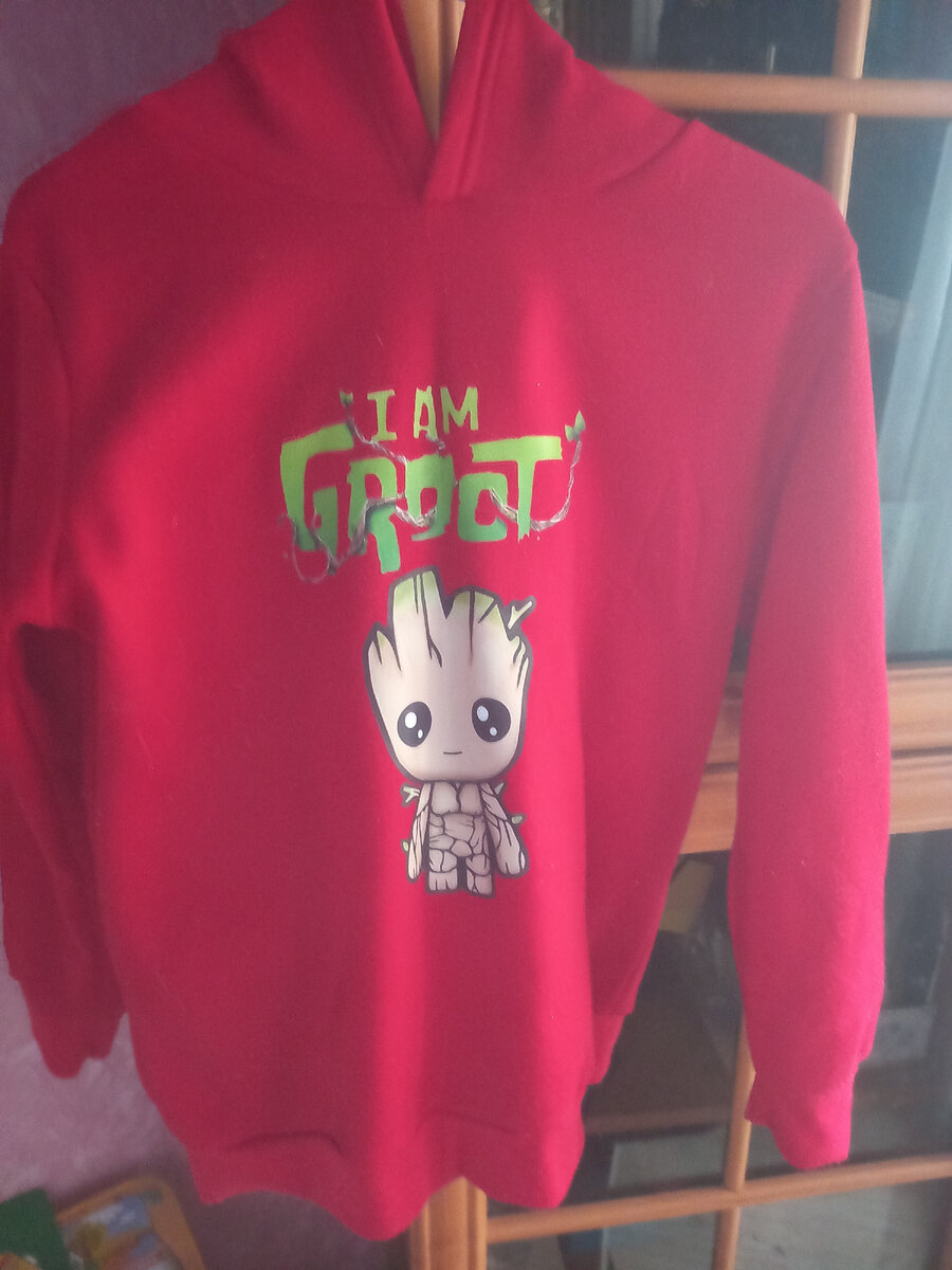 Фото аффтора. Костюм спортивный (кофта)