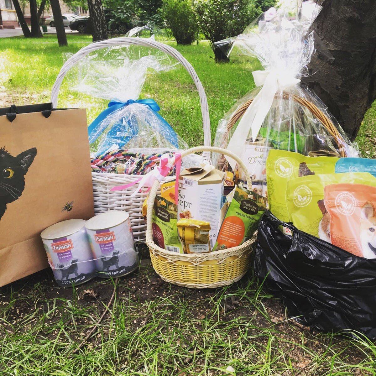 Лакомства и корм в праздничном оформлении, подареные на свадьбу вместо цветов.