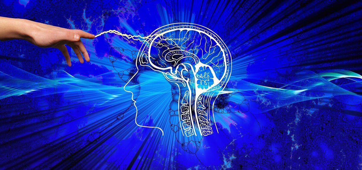 Мозг можно сломать от такого большого списка ценных бумаг.