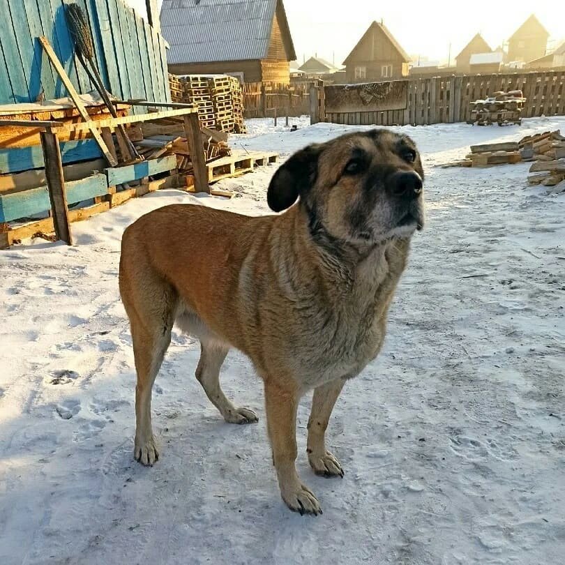 Такой сонечку отдали в "добрые" руки