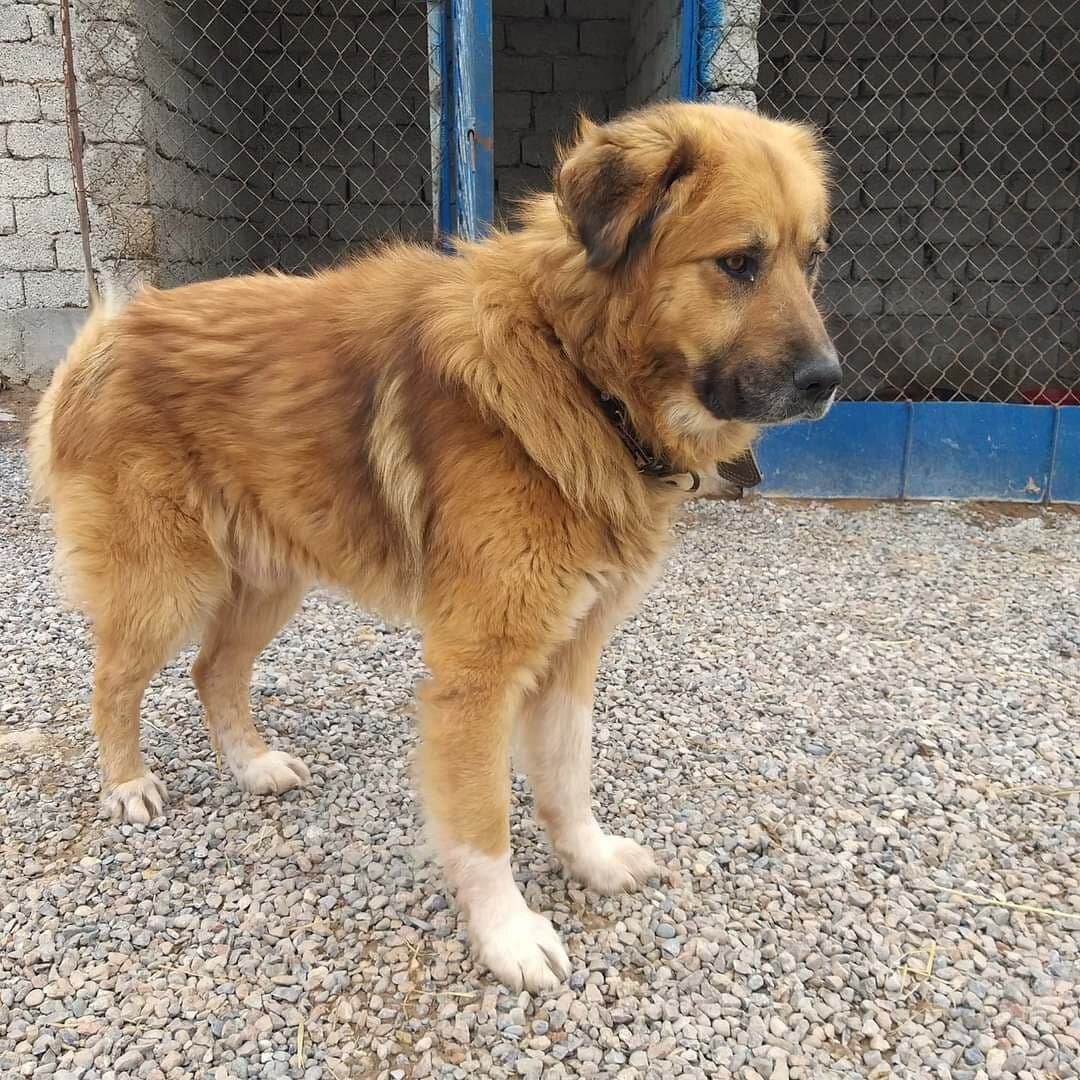 На этом фото Каплан уже полон сил и энергии