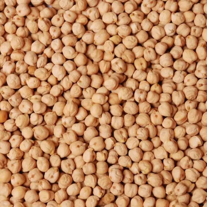 Нут бараний, они такой же баран как вы Скорпион 