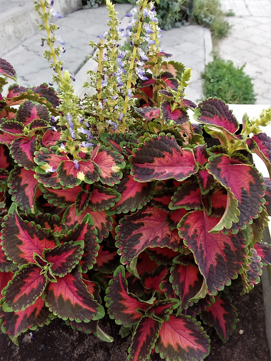 Беседа. Фото автора канала.