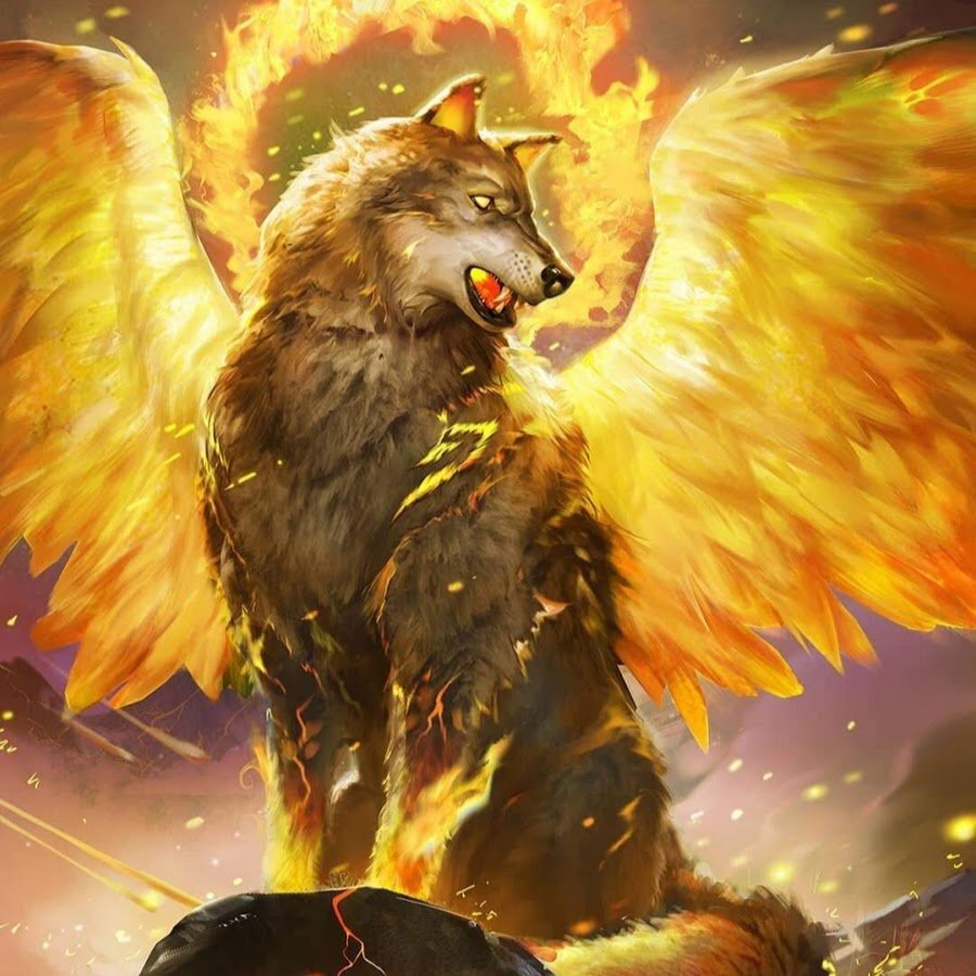 фото из интернета