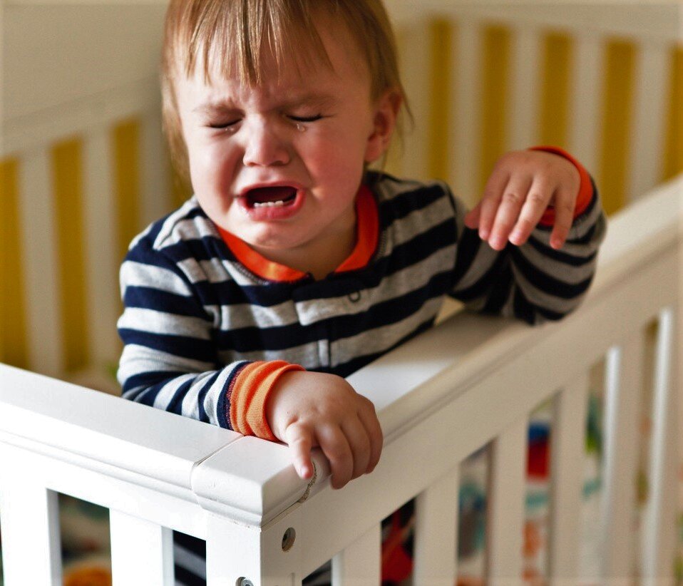 Фото с Яндекс-ресурса 