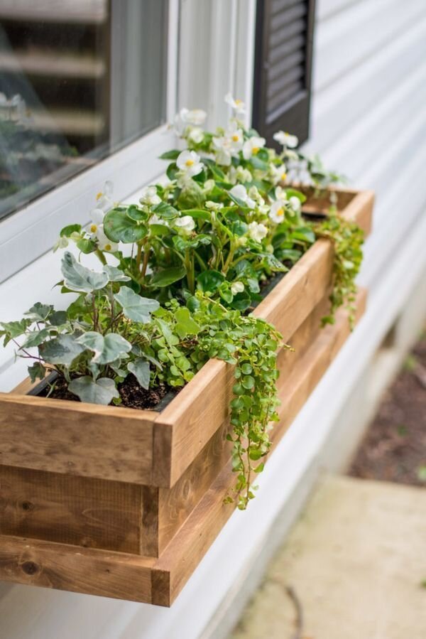 Огород в ящике: полезные советы для дачи и балкона