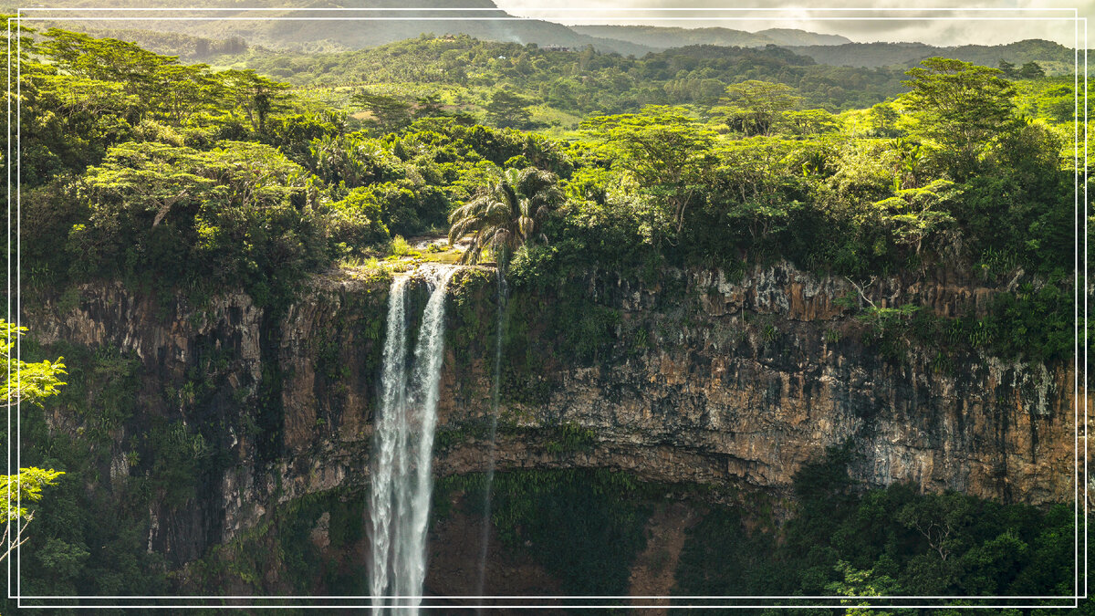 Природа Маврикия