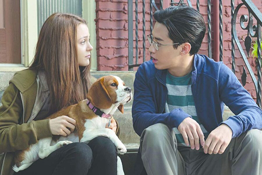 Фильм брюса кэмерона собачья жизнь. Кэтрин прескотт собачья жизнь 2. Собачья жизнь 2 фильм 2019. Собачья 1 2 жизнь. Кей джей апа в фильме собачья жизнь.