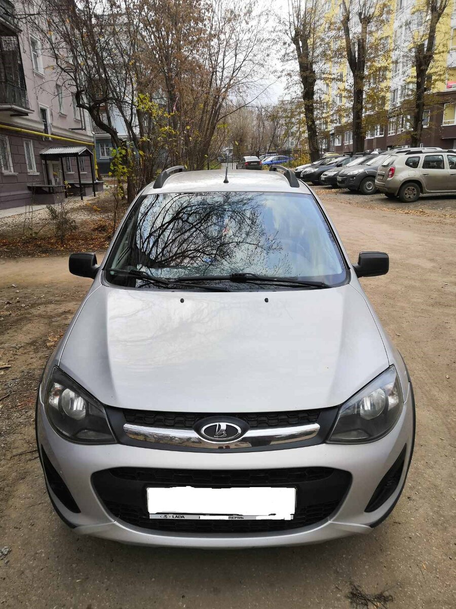 Пятилетний Лада - кросс