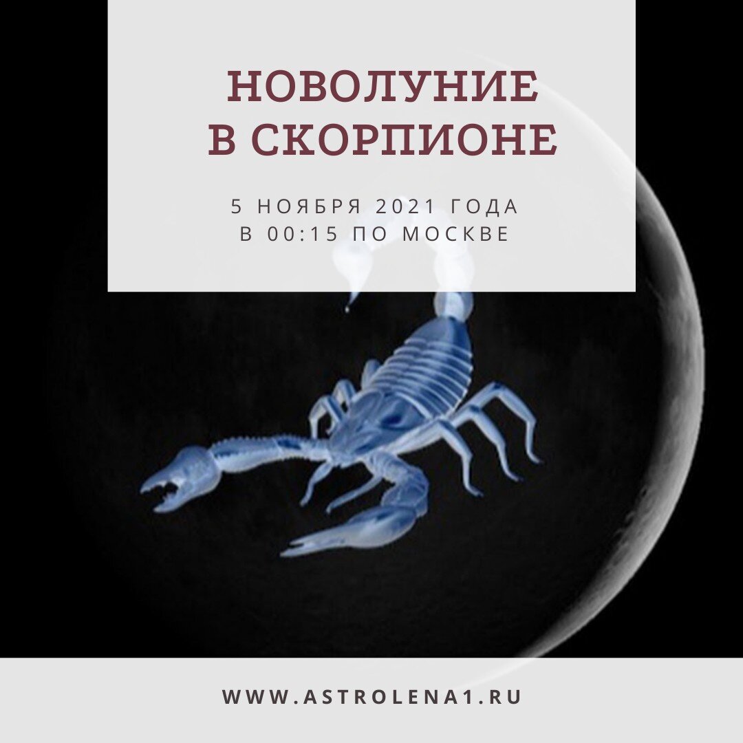 Гороскоп скорпион 5 апреля. Новолуние в Скорпионе. Скорпион 13 градус. Луна в Скорпионе. Проработка страха новолуние Скорпион.