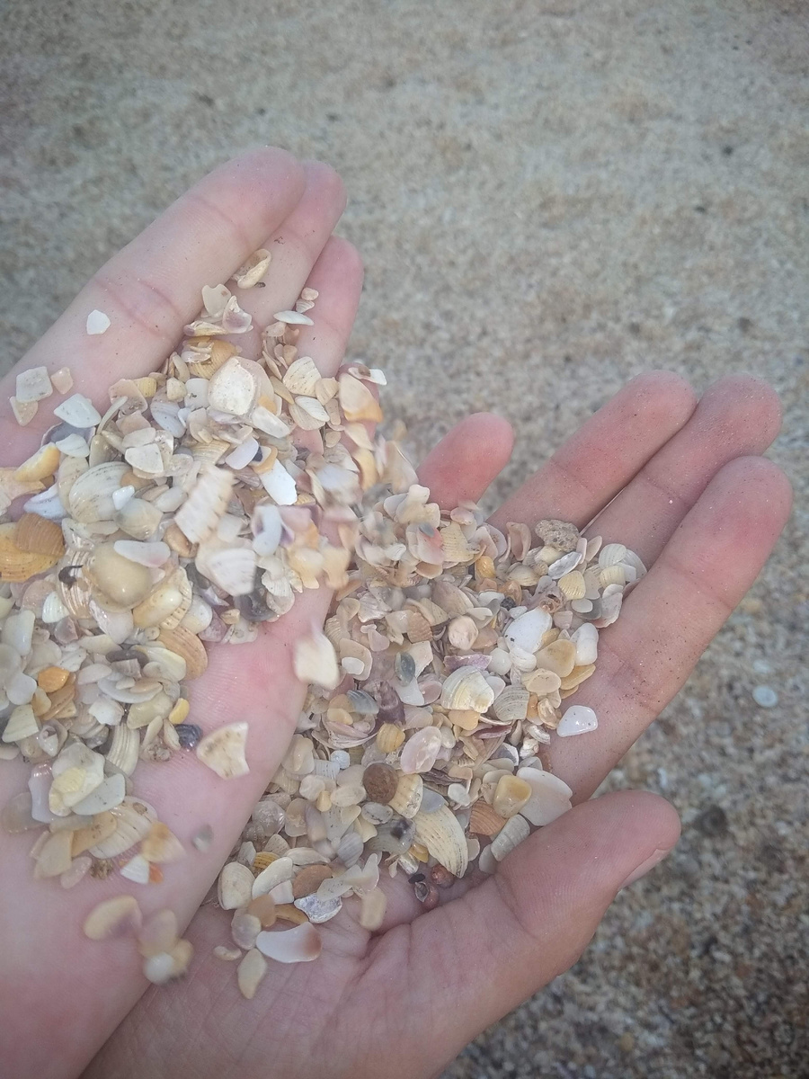 Пляж Из ракушек  и уходящее в закат солнце .