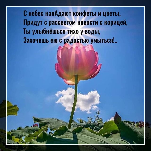 Фото с просторов интернета