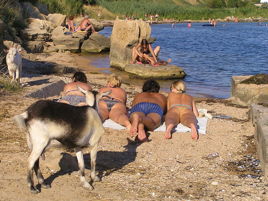 Примерно так выглядел пляжик Стройгородка несколько лет назад. Снято сбоку, поэтому центральная часть кажется совсем небольшой, а на деле как раз это вот закуток с камнями. И козы, да )))