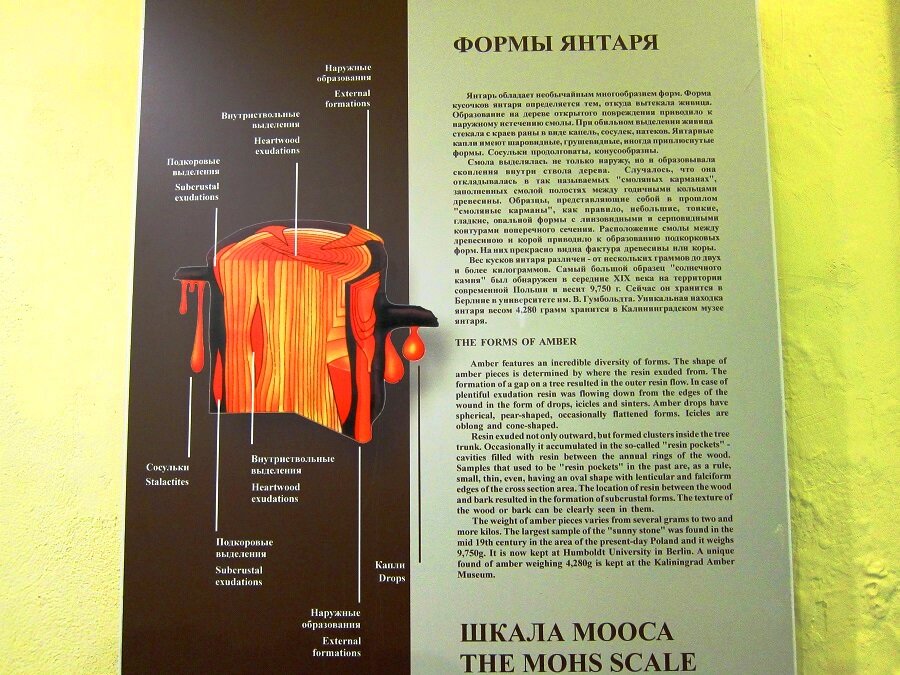 Калининград