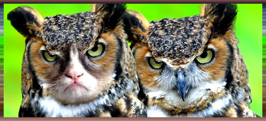 Коллаж автора