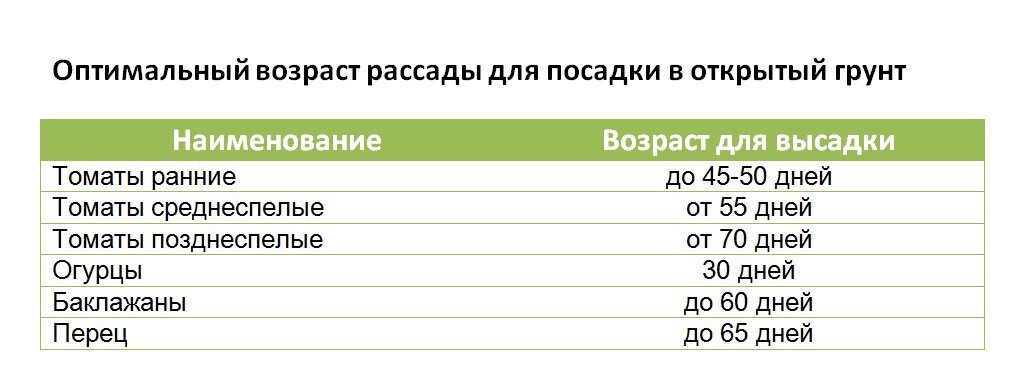 Оптимальный Возраст рассады. Возраст рассады для высадки. Оптимальный Возраст рассады для высадки в грунт. Возраст рассады для пересадки.