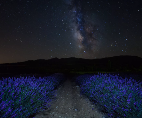 Фото взято в качестве примера к публикации из Яндекс Картинок 