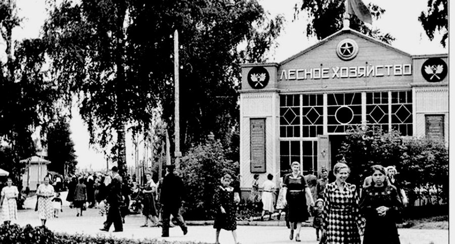 Вднх барнаул фото Прогулки по Барнаулу. Нагорный парк, ВДНХ и тени прошлого... Вести из Алтайской 