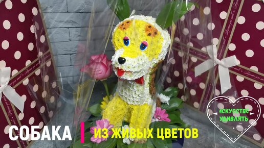 Игрушки из цветов. Игрушки из живых цветов