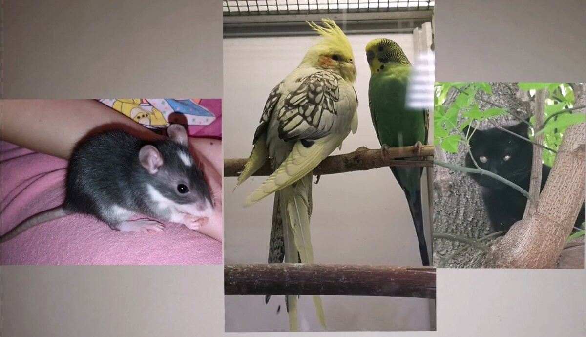 Фото автора 