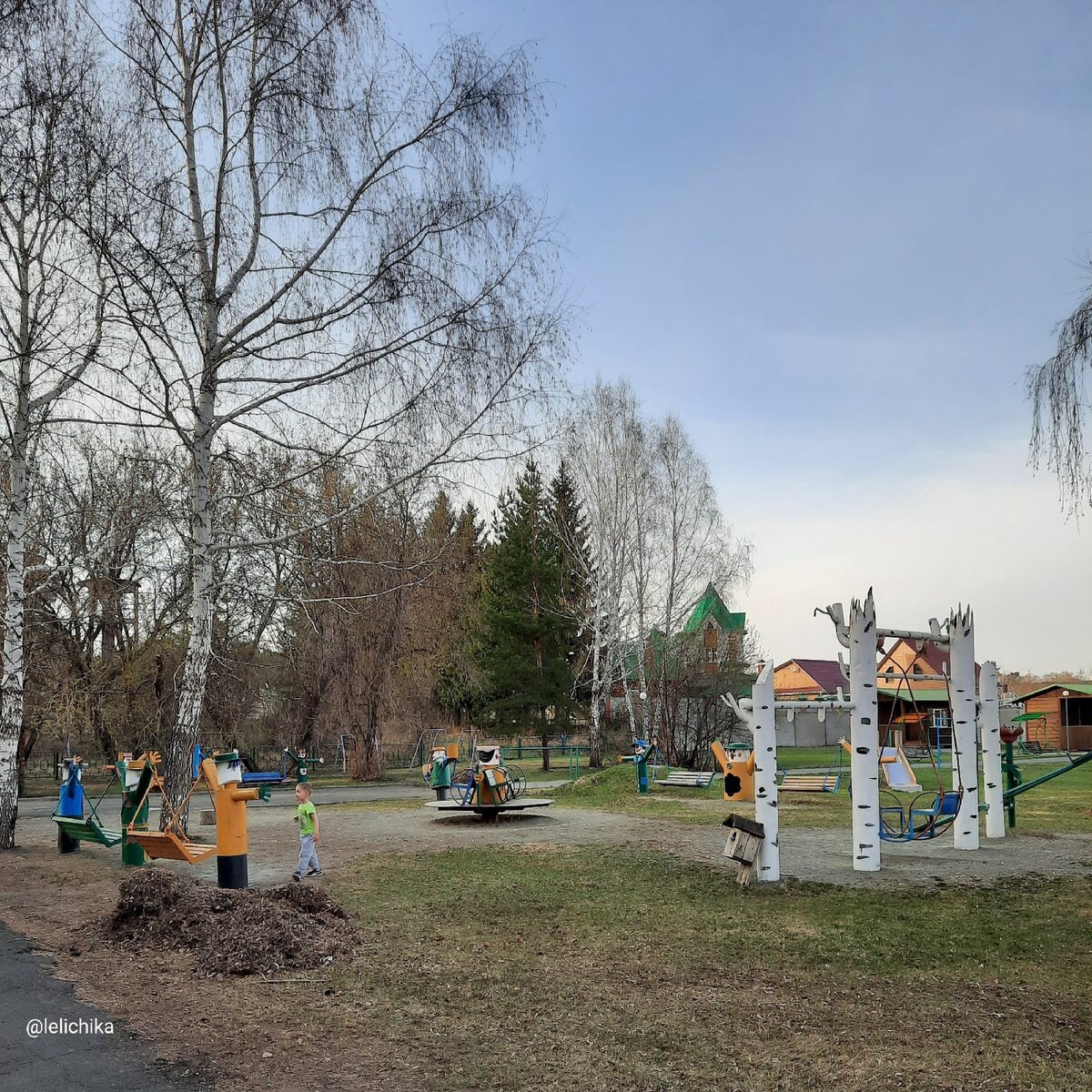 Сосновый бор. Алтайский край | Прогулки по городу N. | Дзен