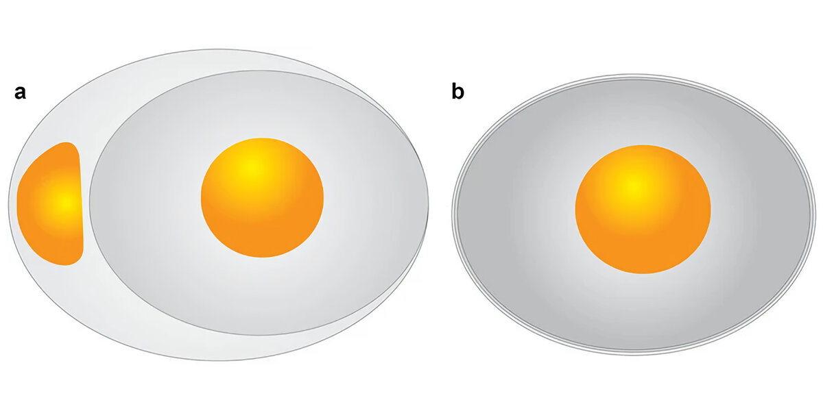 Сравнение патологий: ovum-in-ovo (a) и яйцо с несколькими слоями скорлупы (b) / Scientific Reports📷
