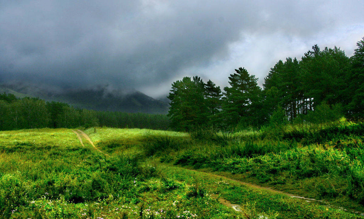 Фотография, стихотворение Василия Глуцкого