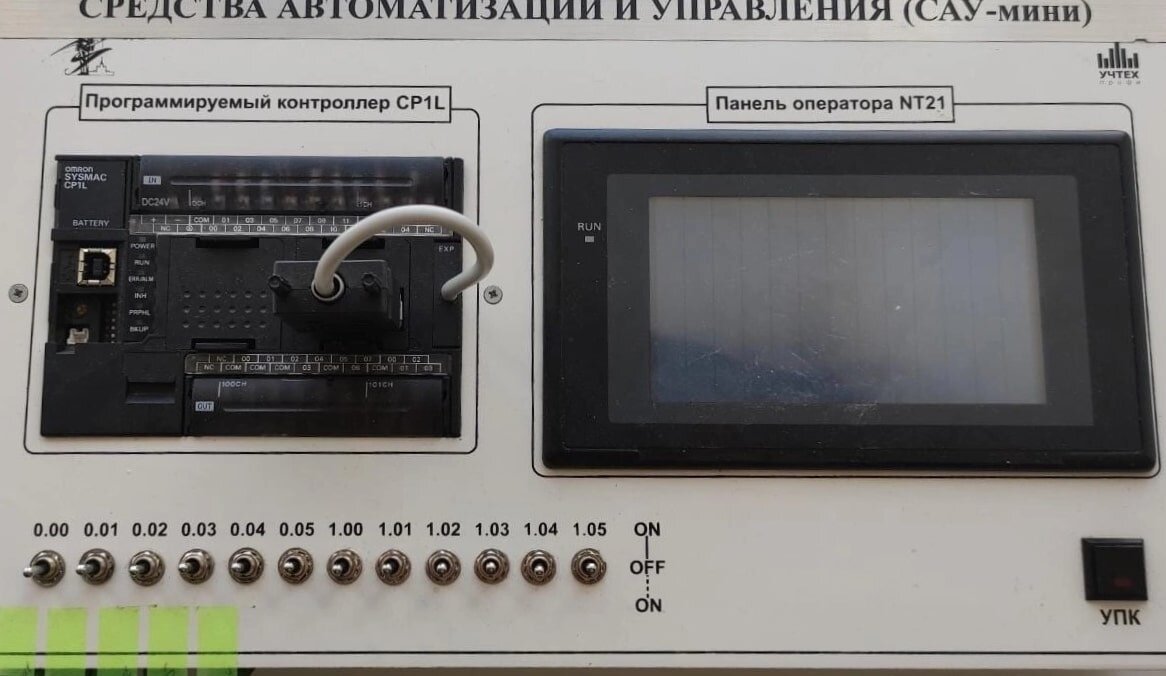    Пермские ученые разработали программу для выявления чумы свиней