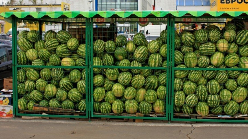 Фото с ресурса: news.myseldon.соm. Арбузное изобилие