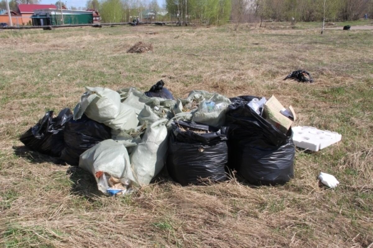    В Петушинском районе на 75 га сельхозземель обнаружили сорняки и мусор