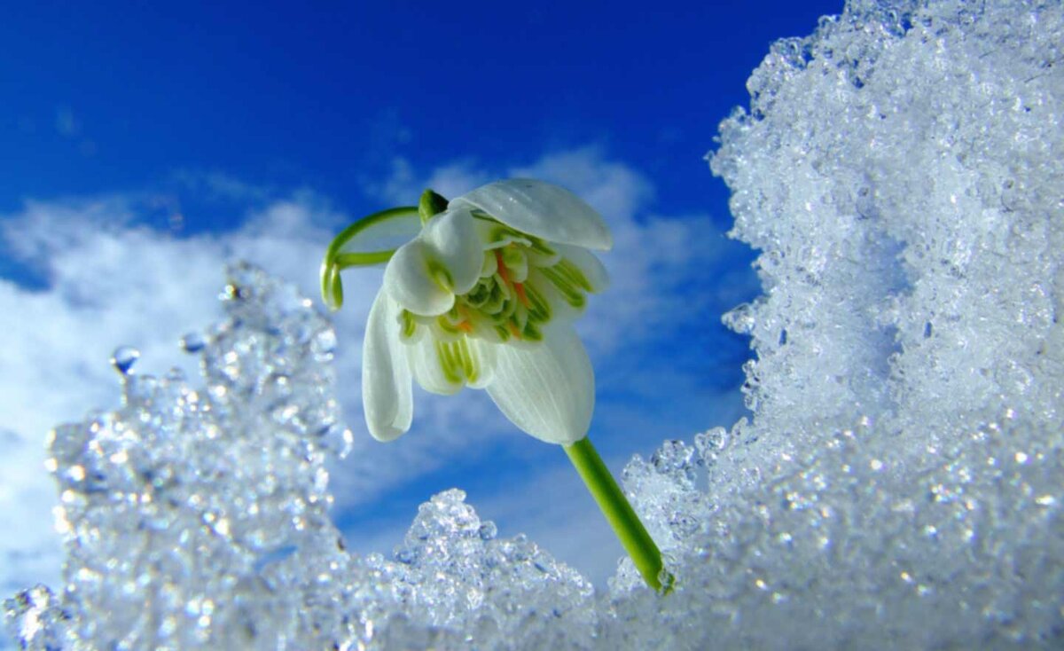 Из открытых интернет источников.