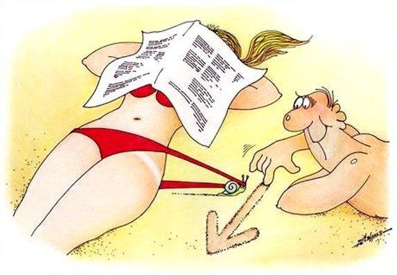 Яндекс- картинки